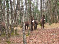 20070331_reconnaissance_falgeret_belle0015