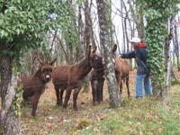 20070331_reconnaissance_falgeret_belle0019