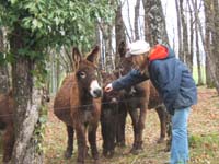 20070331_reconnaissance_falgeret_belle0021