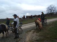 20070331_reconnaissance_falgeret_belle0024