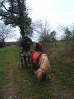 20070331_reconnaissance_falgeret_belle0027
