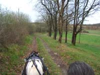 20070331_reconnaissance_falgeret_belle0030