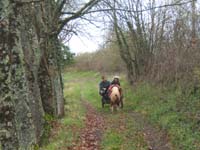 20070331_reconnaissance_falgeret_belle0033