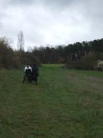 20070331_reconnaissance_falgeret_belle0040