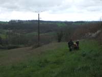 20070331_reconnaissance_falgeret_belle0042