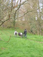 20070331_reconnaissance_falgeret_belle0079
