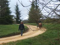 20070331_reconnaissance_falgeret_belle0080