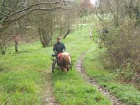 20070331_reconnaissance_falgeret_belle0085