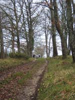20070331_reconnaissance_falgeret_belle0086