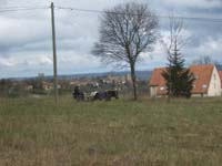 20070331_reconnaissance_falgeret_belle0091