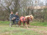 20070331_reconnaissance_falgeret_belle0096